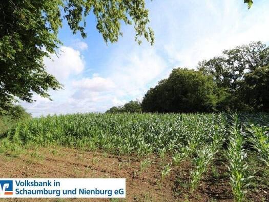 Land-/Forstwirtschaft zum Kauf 58.745 m² Grundstück Antendorf Auetal 31749