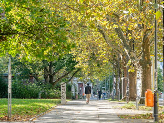 Wohnung zum Kauf - Neubau provisionsfrei 469.500 € 2 Zimmer 48,7 m² 4. Geschoss Thulestraße 48 Pankow Berlin 13189