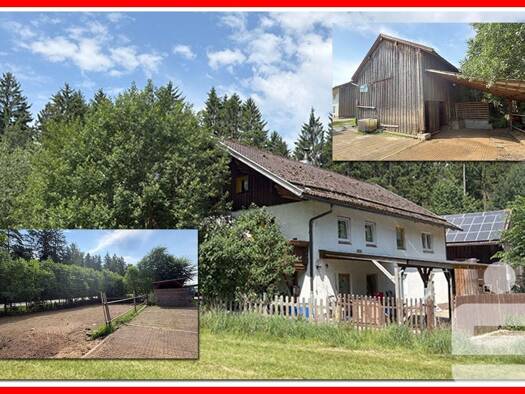 Bauernhaus zum Kauf 299.000 € 8 Zimmer 254 m² 2.931 m² Grundstück Unterrubendorf Prackenbach 94267