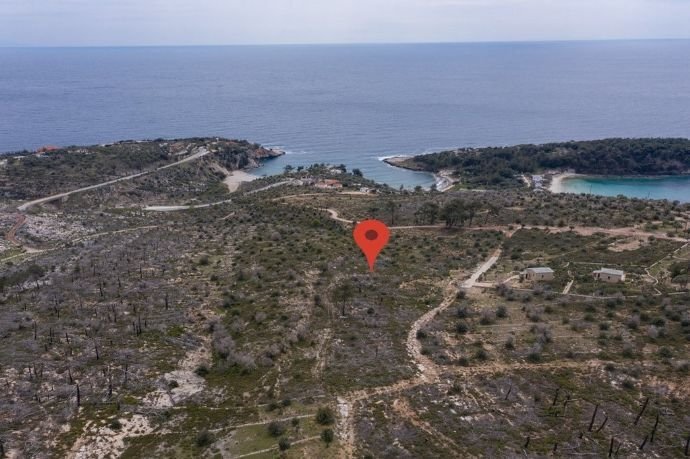 Grundstück zum Kauf 110.000 € 5.034 m²<br/>Grundstück Thassos, Aliki