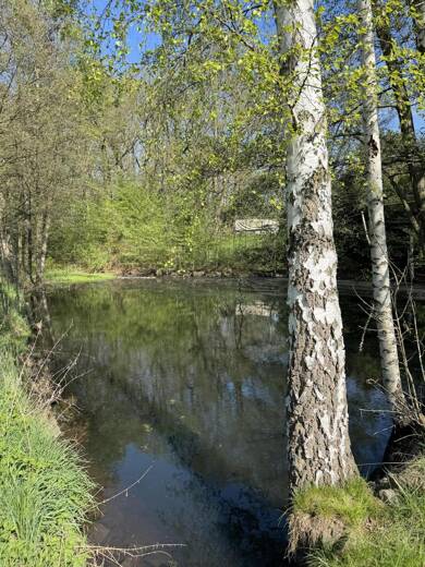 Freizeitgrundstück zum Kauf 45.000 € 1.980 m² Grundstück Hilbersdorf Bobritzsch-Hilbersdorf 09627