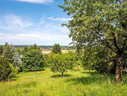 Grundstück zum Kauf 530.000 € 1.500 m² Grundstück St. Andrä-Wördern 3423
