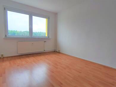 Wohnung zur Miete 336 € 3 Zimmer 56 m² 2. Geschoss frei ab sofort Gossa Muldestausee / Gossa 06774