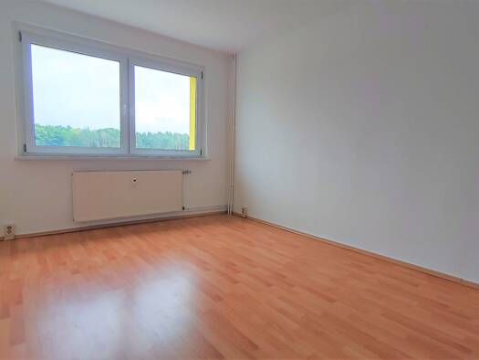 Wohnung zur Miete 336 € 3 Zimmer 56 m² 2. Geschoss frei ab sofort Gossa Muldestausee / Gossa 06774