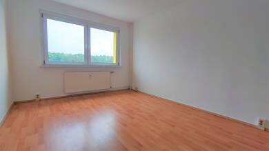 Wohnung zur Miete 336 € 3 Zimmer 56 m² 2. Geschoss frei ab sofort Gossa Muldestausee / Gossa 06774
