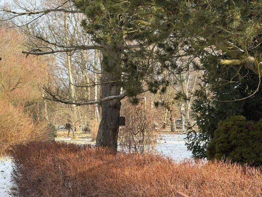 Grundstück zum Kauf 145.000 € 515 m² Grundstück Zepernick Panketal 16341