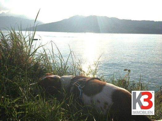 Grundstück zum Kauf 580.000 € 872 m² Grundstück Steinbach am Attersee 4853