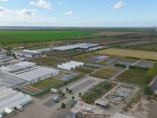 Grundstück zum Kauf 972.000 € 9.720 m² Grundstück Delitzsch 04509