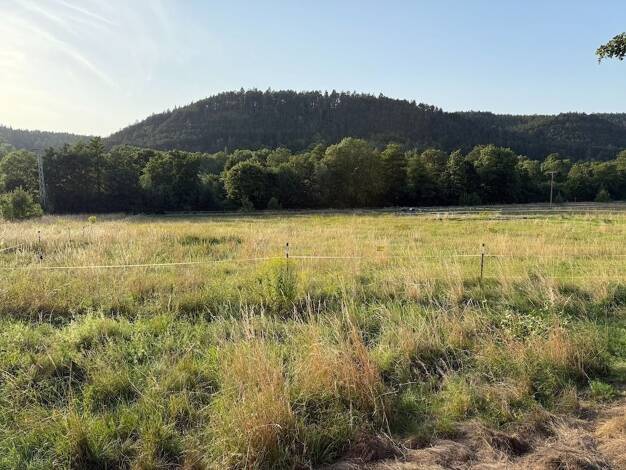 Grundstück zum Kauf 217.000 € 3.858 m² Grundstück Siegelbach Siegelbach Arnstadt 99310