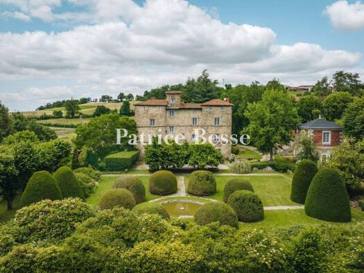 Schloss zum Kauf 980.000 € 12 Zimmer 1.250 m² 43.195 m² Grundstück Saint-Héand 42570