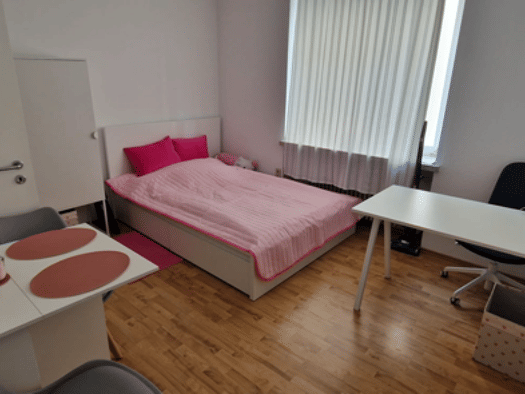 Studio zur Miete 420 € 1 Zimmer 16 m² Geschoss 1/3 frei ab 01.10.2026 Gutenbergstraße 24 Gießen Gießen 35390