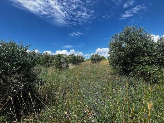 Acker-/Waldstück zum Kauf 107.000 € Kavran, Marčana Marčana 52206
