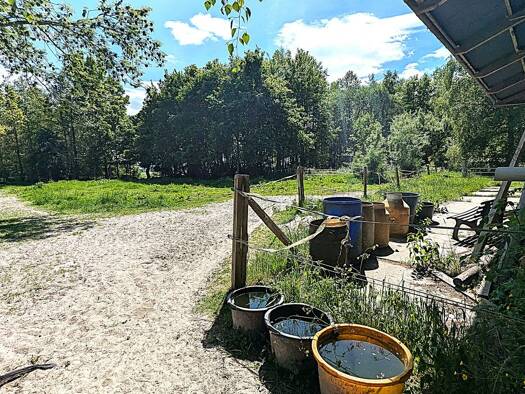 Bauernhaus zum Kauf 320.000 € 4 Zimmer 100 m² 23.000 m² Grundstück Neudorf Varel 26316