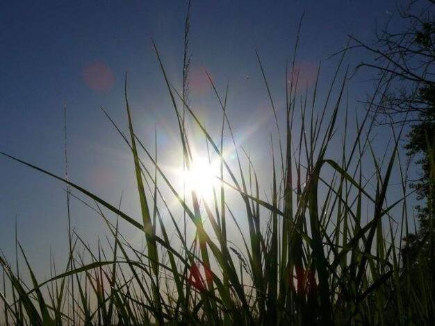 Grundstück zum Kauf 119.900 € 900 m² Grundstück Otterwisch 04668