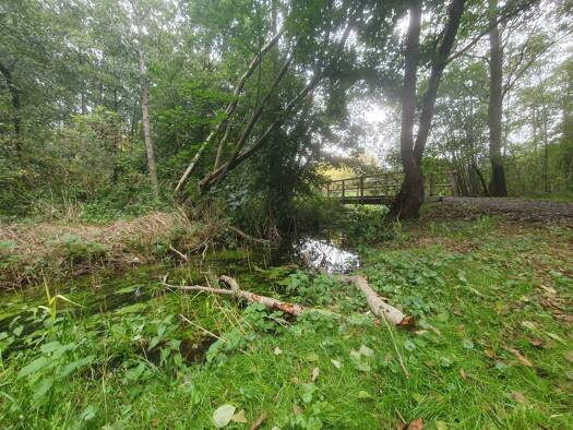 Wohnung zur Miete 283 € 3 Zimmer 57 m² Geschoss 5/5 frei ab 15.04.2026 Lion-Feuchtwanger-Straße Knieper West Stralsund 18435