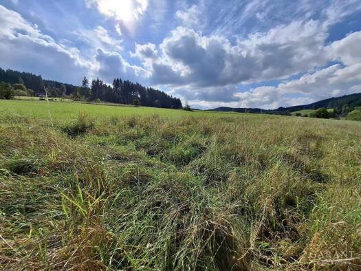 Grundstück zum Kauf 77.000 € 528 m² Grundstück Langenschiltach 78112