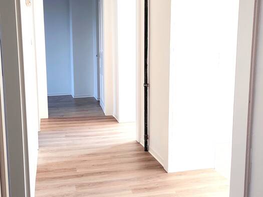 Wohnung zur Miete 650 € 3 Zimmer 75 m² Geschoss 1/4 Frankfurter Süd Kassel 34121