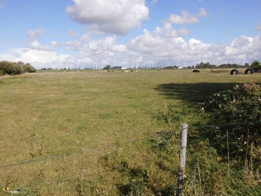 Grundstück zum Kauf 129.000 € 16.600 m² Grundstück Friedrichskoog 25718