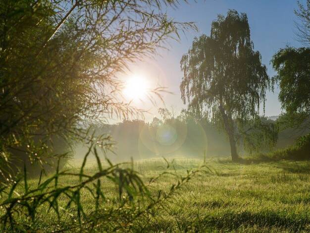Grundstück zum Kauf 149.000 € 330 m² Grundstück Grafenwald Bottrop 46244