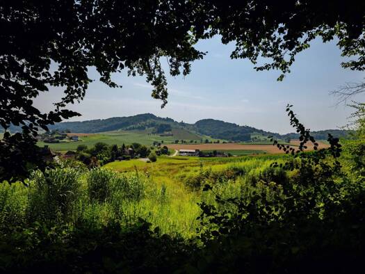 Grundstück zum Kauf 70.000 € 535 m² Grundstück Haselweg 8 Grötsch 8504