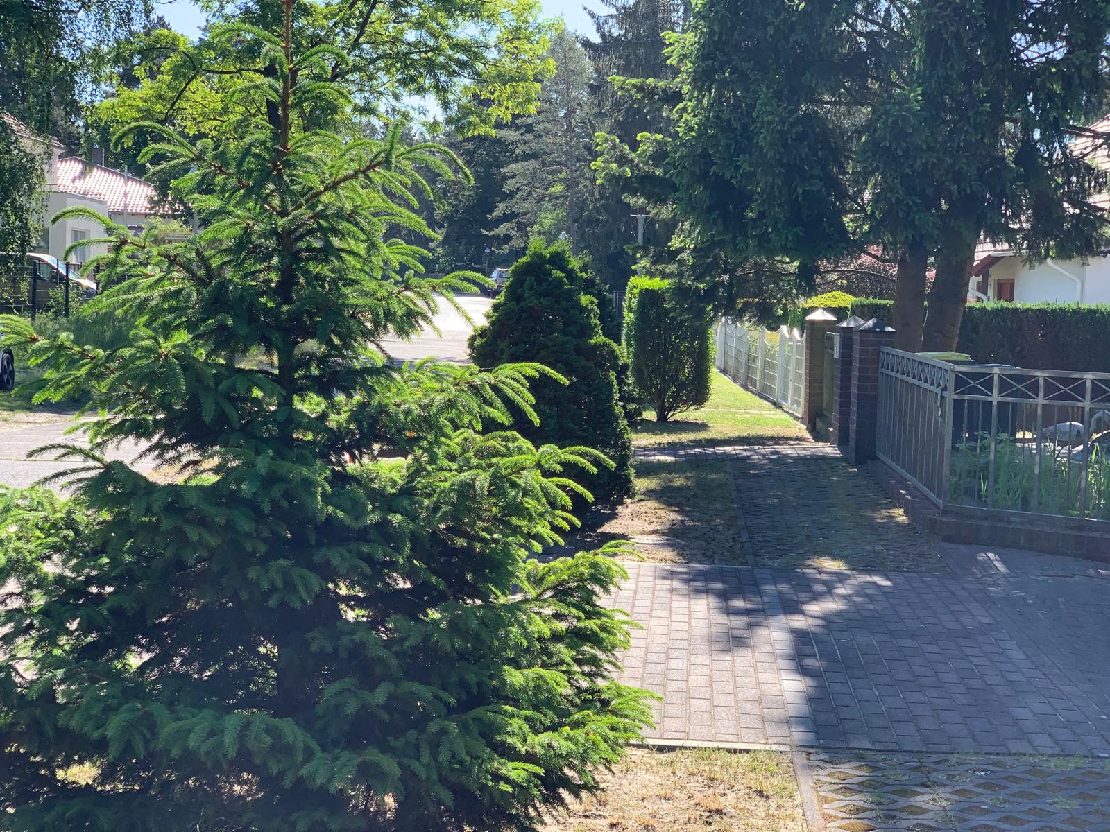 Property thumbnail 17