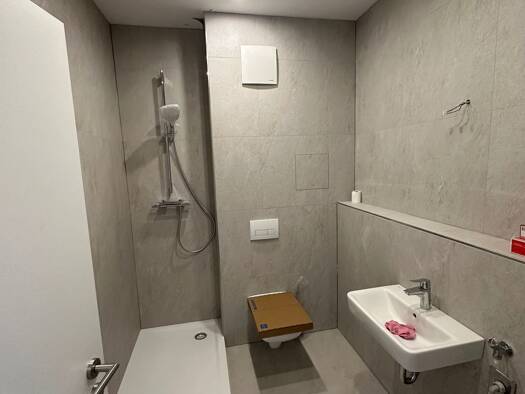 Wohnung zur Miete 455 € 1 Zimmer 35 m² Geschoss 2/4 frei ab 01.10.2026 Innenstadt Mitte 06108