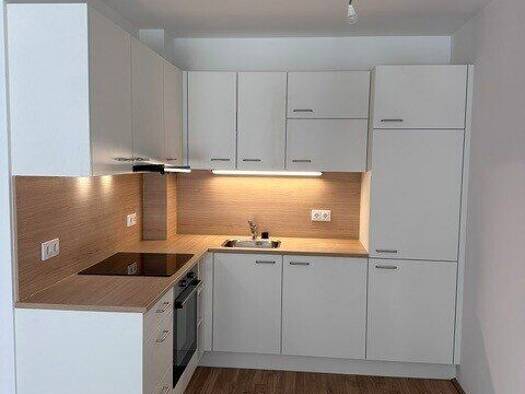 Wohnung zur Miete - Erstbezug 720 € 2 Zimmer 42,5 m² EG frei ab 01.09.2026 Drygalskiweg 59 Donaustadt 1210