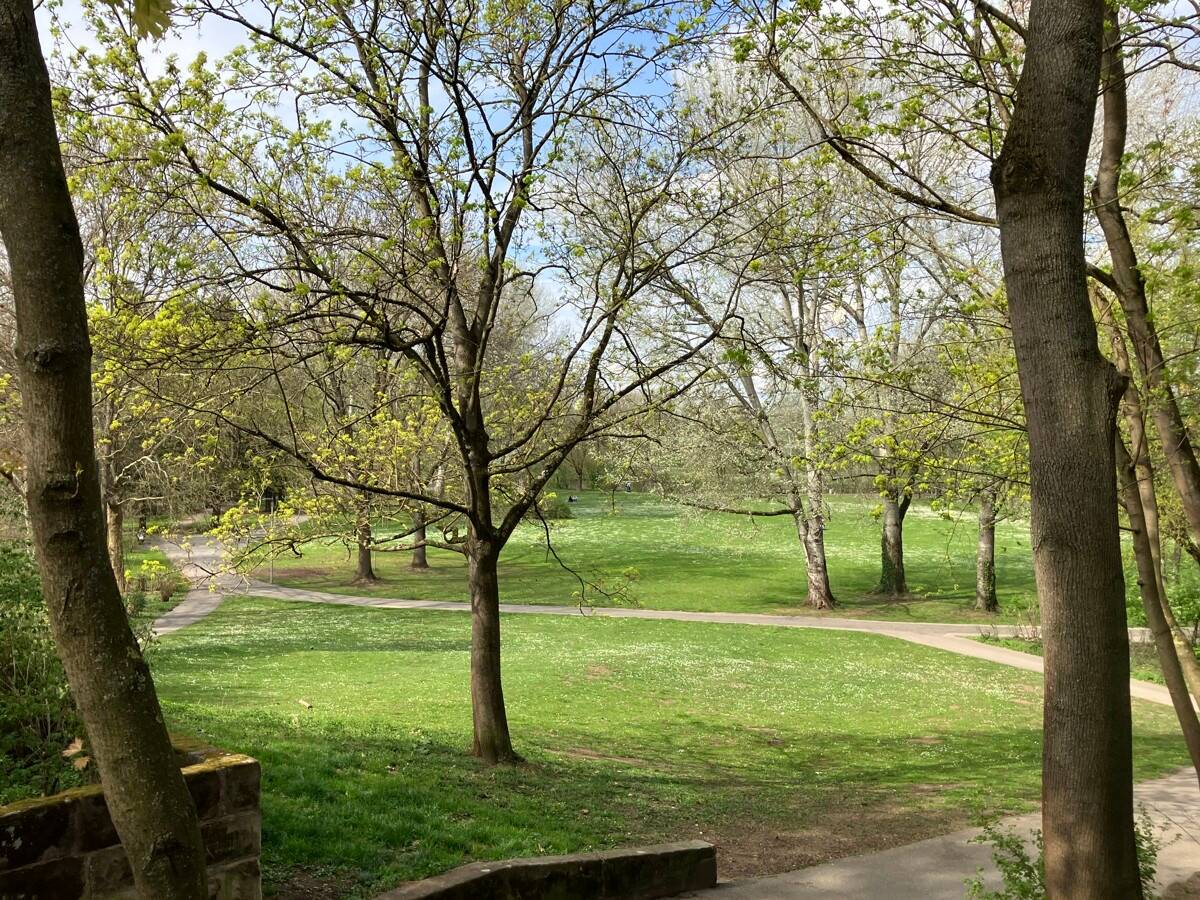 Property thumbnail 11