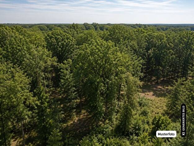 Grundstück zum Kauf provisionsfrei 102.000 € Blerichen Bedburg 50181