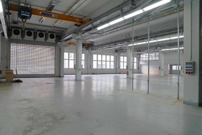 Halle/Industriefläche zur Miete 2.350 m²<br/>Lagerfläche ab 2.350 m²<br/>Teilbarkeit Frankenthal 131 Frankenthal 67227