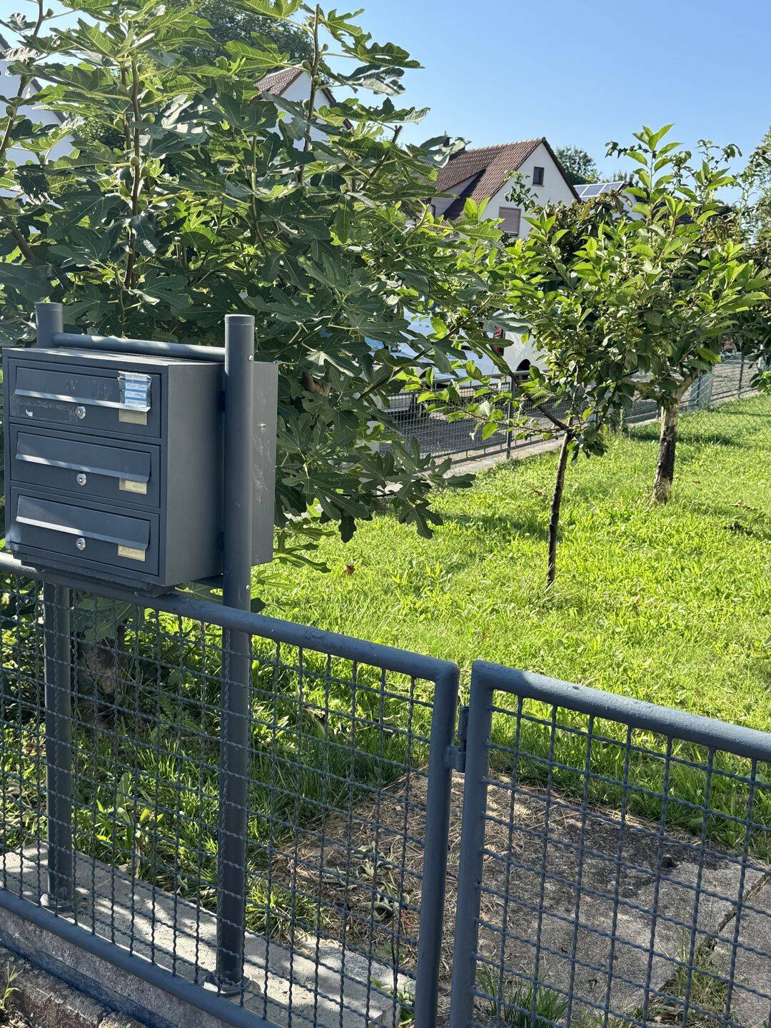 Mehrfamilienhaus zum Kauf - Ansicht 5