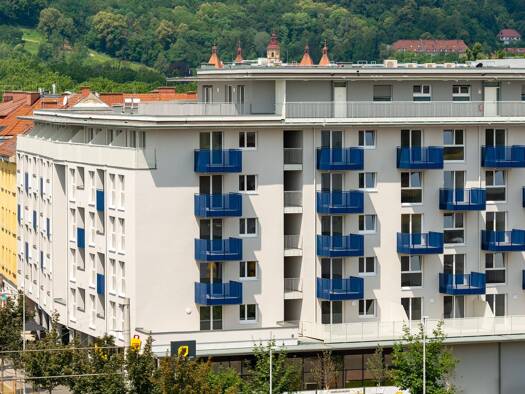 Wohnung zur Miete 700 € 3 Zimmer 48,7 m² 4. Geschoss Eggenberger Allee 10 Eggenberg Graz 8020