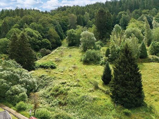 Land-/Forstwirtschaft zum Kauf 1.200 € 2.585 m² Grundstück Walkenried 37447