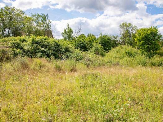 Grundstück zum Kauf 499.000 € 1.090 m² Grundstück frei ab sofort Rheinfelden Rheinfelden (Baden) 79618