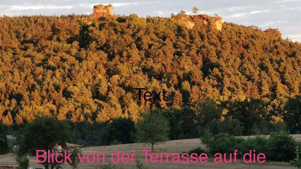 Bungalow zum Kauf 399.900 € 6 Zimmer 140 m² 811 m² Grundstück frei ab sofort Wasgaustr. 19 Busenberg 76891