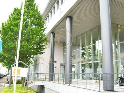Bürofläche zur Miete provisionsfrei 10,50 € 313,6 m² Bürofläche teilbar ab 313,6 m² Bergen-Enkheim Frankfurt am Main 60388