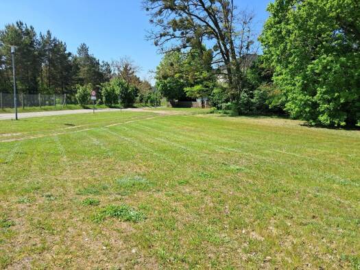 Grundstück zum Kauf provisionsfrei 62.000 € 992 m² Grundstück Waldsiedlung 1c Torgelow 17358