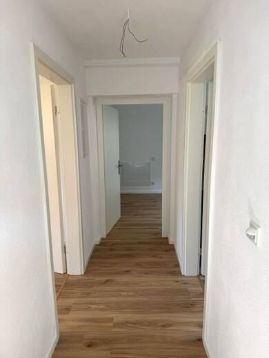 Wohnung zur Miete 550 € Souterrain, UG frei ab sofort Bitburg Bitburg 54634