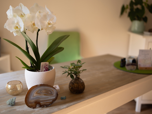 Büro zur Miete provisionsfrei 400 € 3 Zimmer 14 m² Bürofläche Blasewitz Dresden 01277