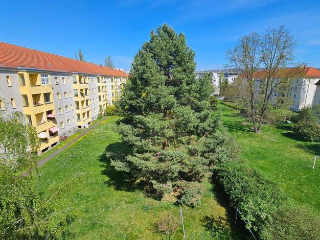 Wohnung zur Miete 614 € 3 Zimmer 63,9 m² 2. Geschoss frei ab sofort Eibenstocker Str. 89 Striesen-Ost Dresden 01277