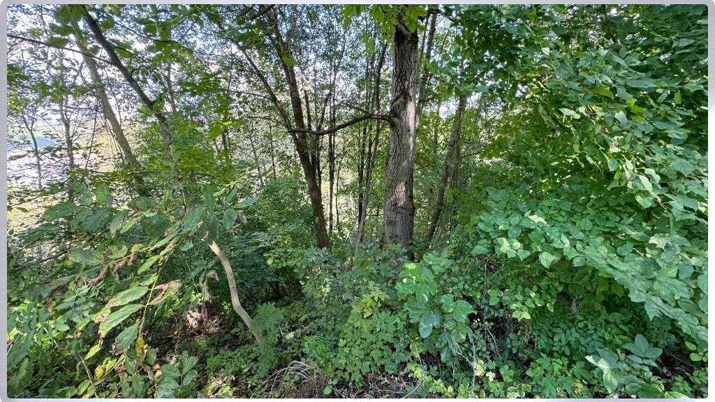 Land-/Forstwirtschaft zum Kauf 3.500 € 710 m² Grundstück Schnait Weinstadt 71384