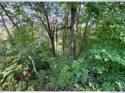 Land-/Forstwirtschaft zum Kauf 3.500 € 710 m² Grundstück Schnait Weinstadt 71384