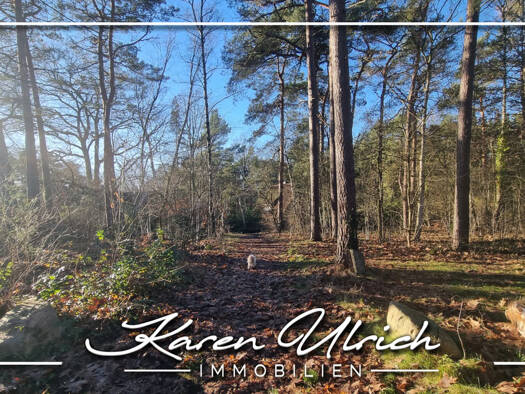 Grundstück zum Kauf 299.000 € 1.000 m² Grundstück Höhenweg 16 Horst Seevetal 21220