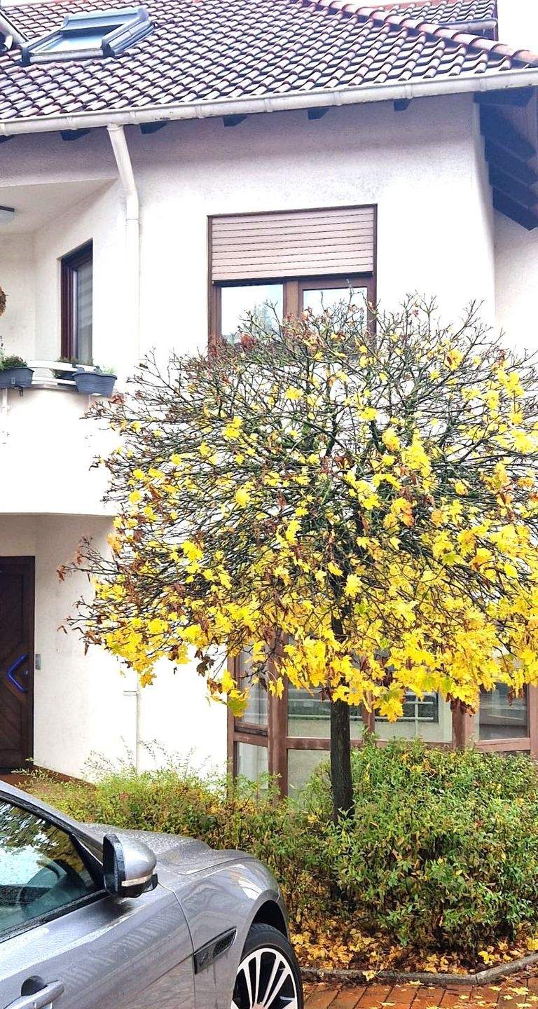 Immobilie in Losheim am See - Großzügige Eigentumswohnung in Losheim am See, wo Andere Urlaub machen - Bild 1