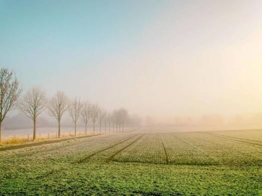 Grundstück zum Kauf 250.000 € 28.879 m² Grundstück Niedernwöhren 31712