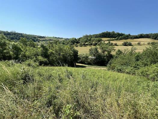 Grundstück zum Kauf 37.000 € 740 m² Grundstück Niederstetten Niederstetten 97990