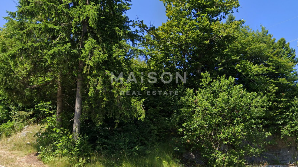 Grundstück zum Kauf 53.000 € Ravna Gora 51314