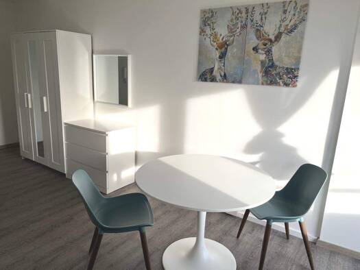 Wohnung zur Miete 560 € 1 Zimmer 33,2 m² 8. Geschoss frei ab sofort Innenstadt Fürth 90762