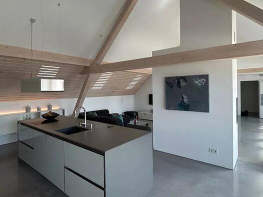 Einfamilienhaus zur Miete 2.500 € 5 Zimmer 205 m² frei ab sofort Singener Straße 15 Böhringen Radolfzell am Bodensee 78315