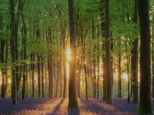 Grundstück zum Kauf provisionsfrei 405.000 € 900 m² Grundstück Hausacker 10 Gremsdorf 91350